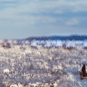 Open Horizons