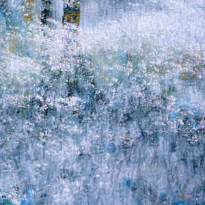 Reflections Of Spring