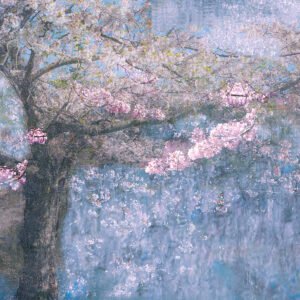 Resplendant Spring