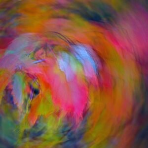 Transitions