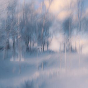Frozen Light